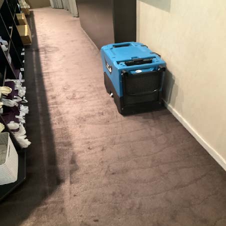Blue industrial drying machine used for water damage restoration in a carpeted hallway