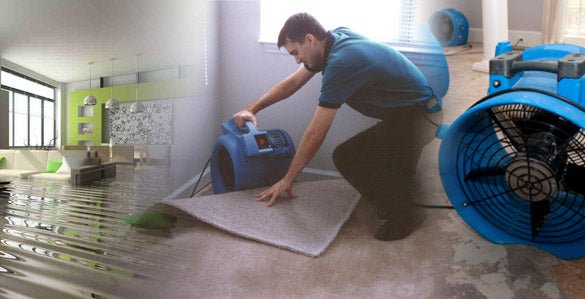 Water Damage Restoration Equipment by Thorair: Your Ultimate Solution for Effective Restoration - Thorair