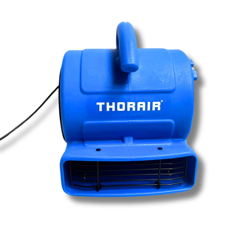 Thorair Mini Snail Carpet Blower in blue for effective drying and air circulation
