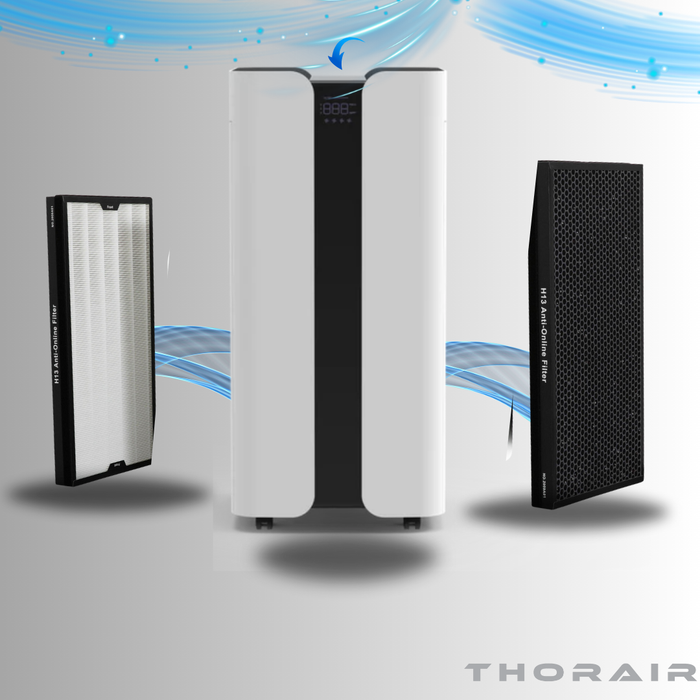 THORAIR air purifier with two filter options for effective air quality restoration and damage management