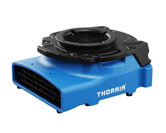 THORAIR® Pro HEPA Filter Turtle Carpet Blower | Efficient and Powerful Drying | Thorair - Thorair