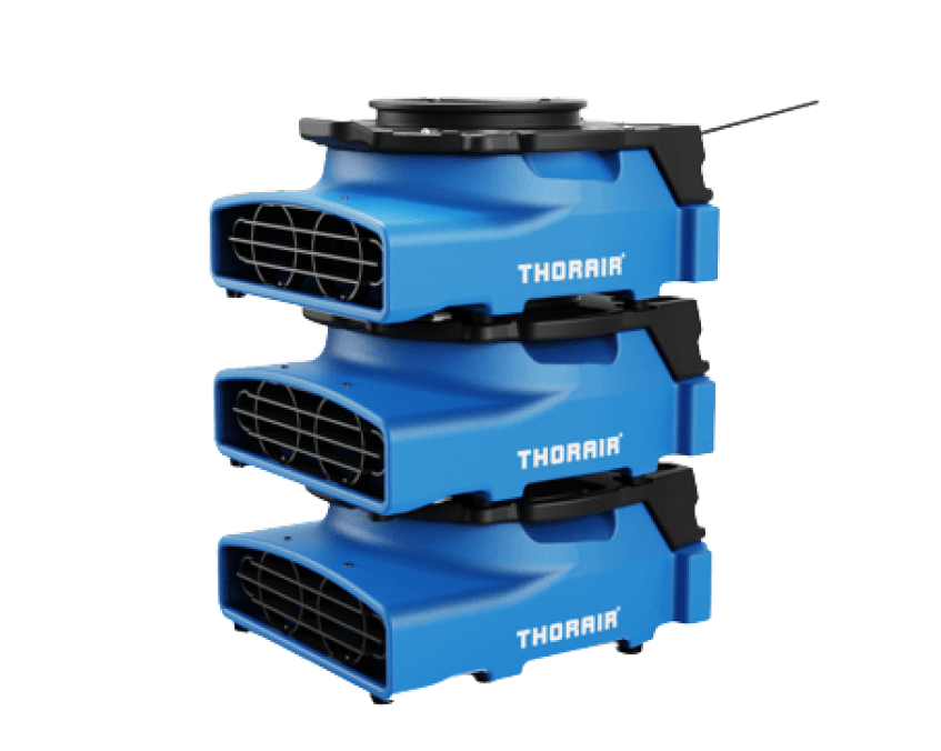 THORAIR® Pro HEPA Filter Turtle Carpet Blower | Efficient and Powerful Drying | Thorair - Thorair